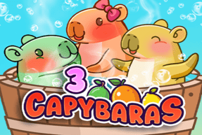 3 Capybaras